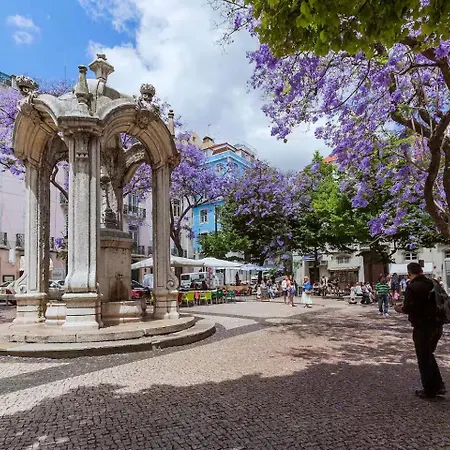 Agua-da-flor Lägenhet Lisboa