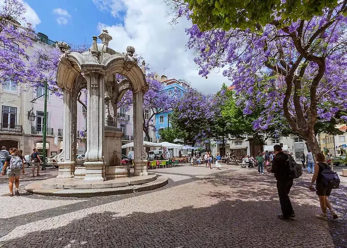 Agua-da-flor Daire Lisboa